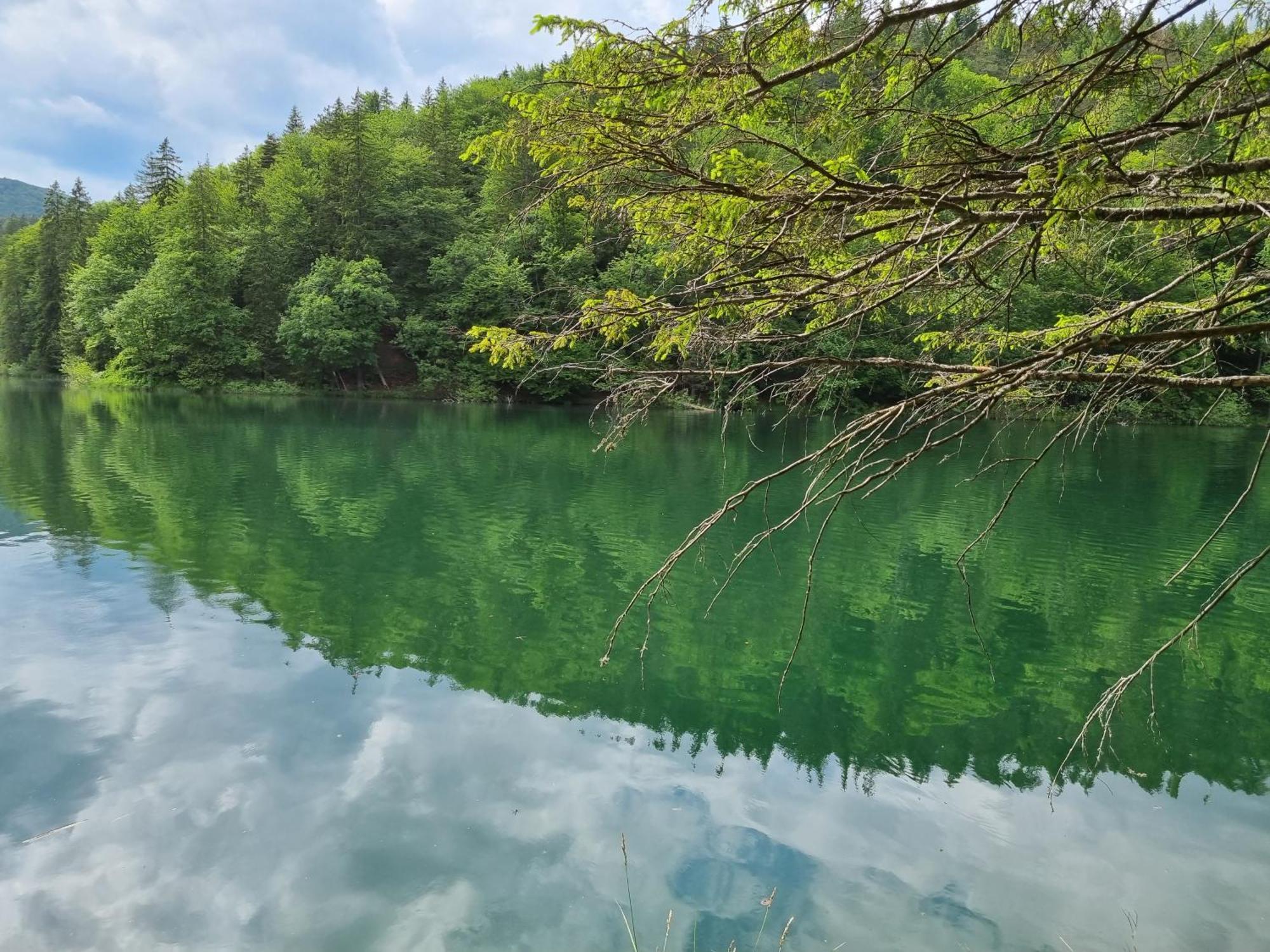 Villa Lady Di Plitvice Vrhovine Εξωτερικό φωτογραφία