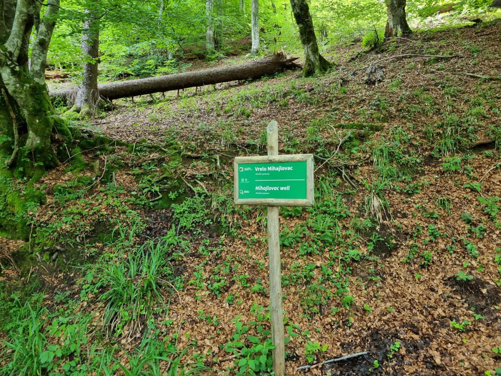 Villa Lady Di Plitvice Vrhovine Εξωτερικό φωτογραφία